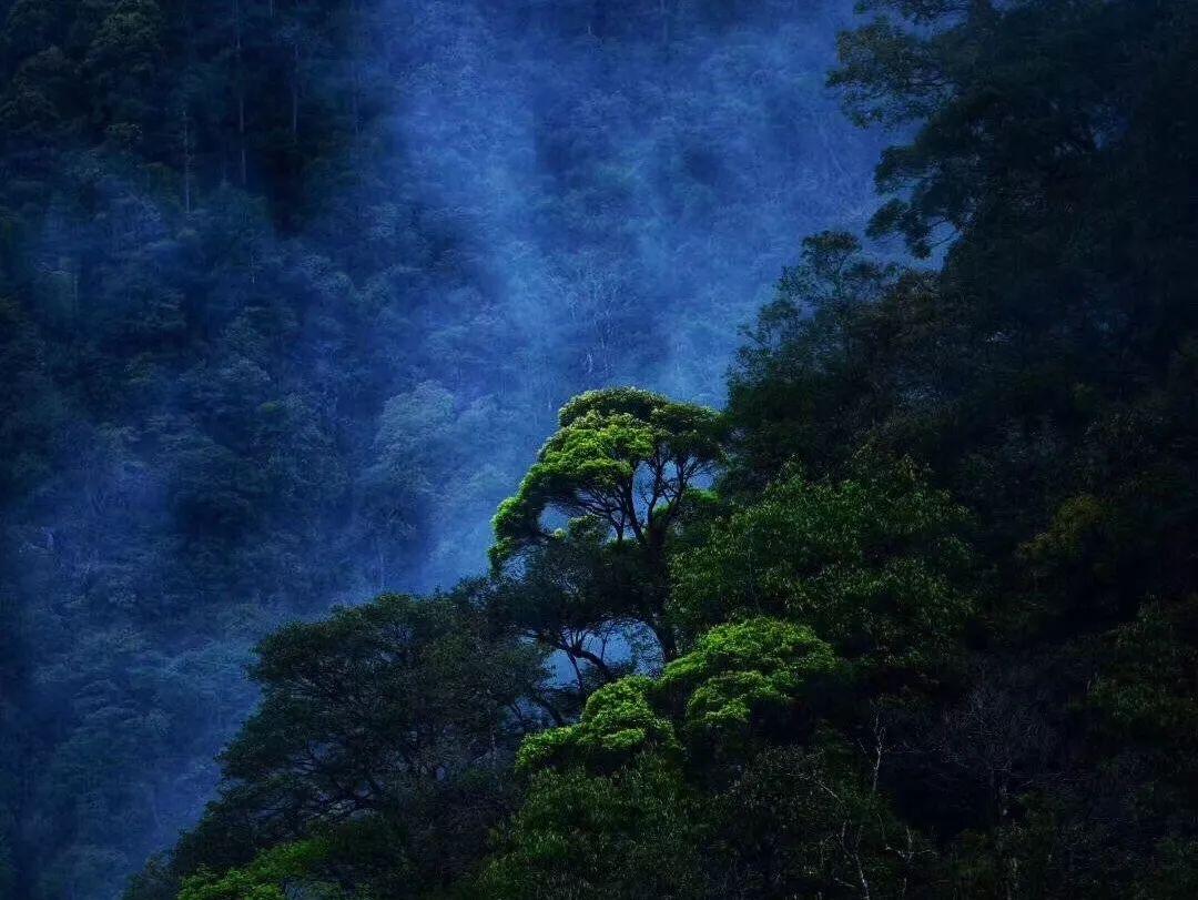 救援甜蜜熊