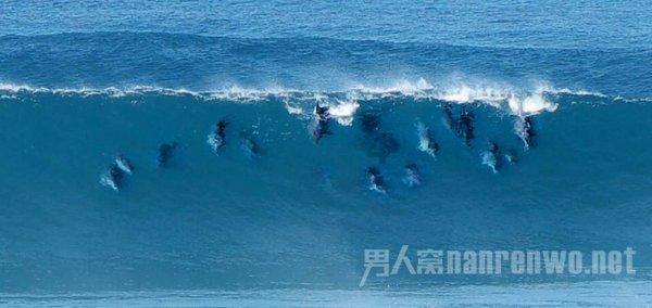 黄成虹调研重点项目并召开花果园工作指挥部工作会议