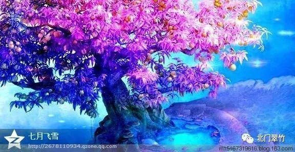 “福建平潭县壳丘头新石器时代遗址群”入选2023年“中国考古新发现”